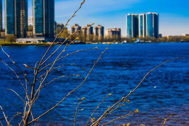 St. Petersburg 'un banliyölerinde ilkbaharda doğa