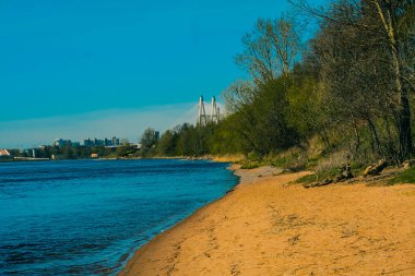Baharda St. Petersburg 'un banliyölerinde doğa çok güzel bir manzara çimenler, güneş, su, gölet, nehirler, nehir, ağaçlar, kütükler, sopalar, köy, kum