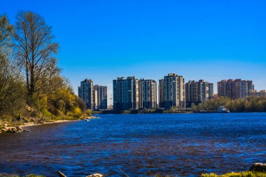 Baharda St. Petersburg 'un banliyölerinde doğa çok güzel bir manzara çimenler, güneş, su, gölet, nehirler, nehir, ağaçlar, kütükler, sopalar, köy, kum