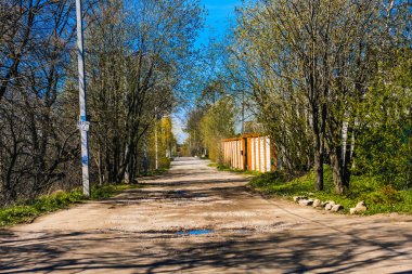 St. Petersburg 'un banliyölerinde ilkbaharda doğa