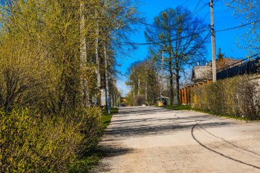 St. Petersburg 'un banliyölerinde ilkbaharda doğa