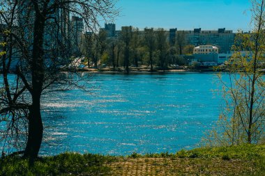 St. Petersburg 'un banliyölerinde ilkbaharda doğa