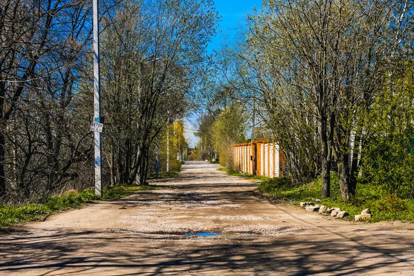 Naturaleza Primavera Los Suburbios San Petersburgomuy Hermoso Paisaje Así Como — Foto de Stock