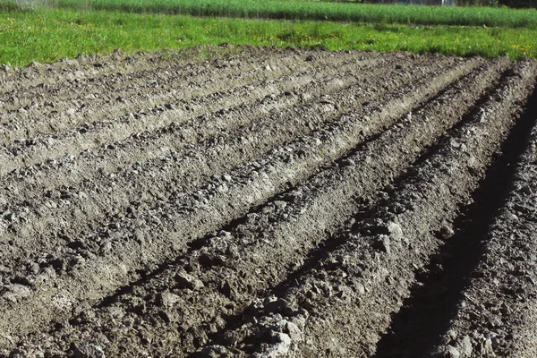 Travail Rural Été Dans Village — Photo