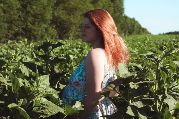 Una Ragazza Incinta Campo Con Grano Sembra Naturale Bella — Foto Stock