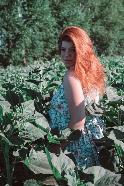 Uma Menina Grávida Campo Com Trigo Parece Natural Bonito — Fotografia de Stock