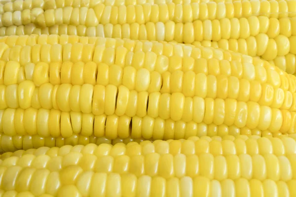 Ряд кукурузы — стоковое фото