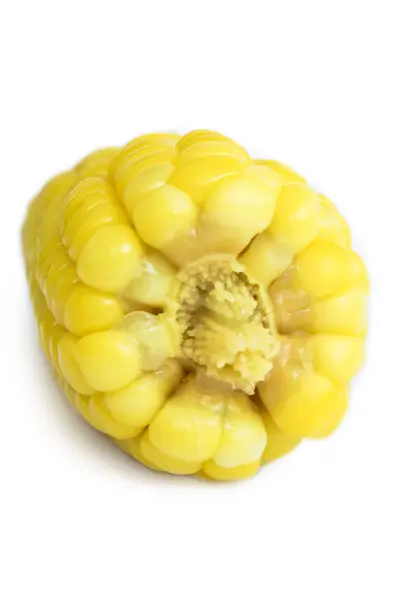 Stem of corn — Zdjęcie stockowe