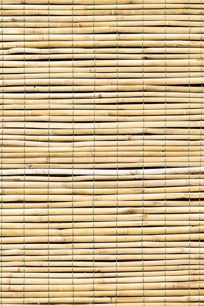 Bambusblind — Stockfoto