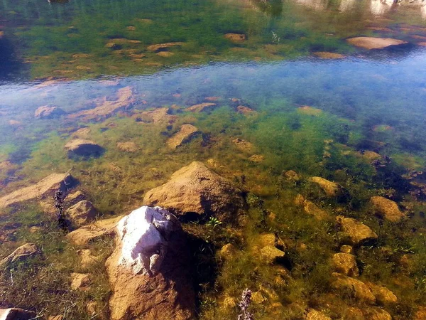 Portekiz 'in orta kesimindeki Sierras de Aire ve Candieiros' un doğal parkındaki Polge Mira-Minde gölünde.