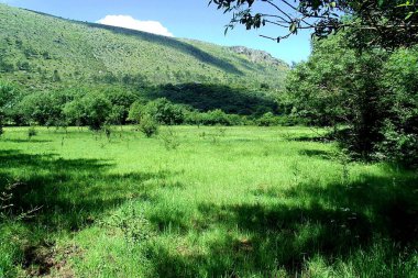 Portekiz 'deki Sierrra de Aires ve Candieiros doğal parkının Polge Mira-Minde ovaları