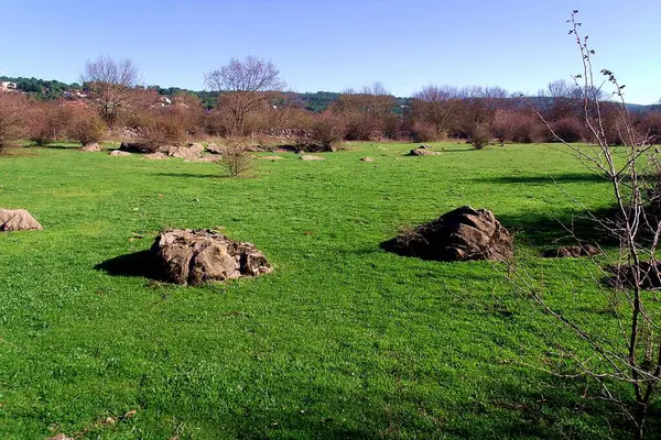 Çayırdaki kayalar, Polge Mira _ Minde, Sierra de Aire y Candeeiros Orta Portekiz doğal parkı