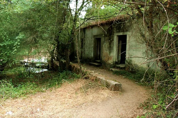 Rio Alviela Orta Portekiz 'deki eski terk edilmiş un değirmeni