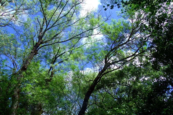 Gökyüzü ve Polge Mira-Minde Sierra de Aire y Candieiros doğal parkı Portekiz