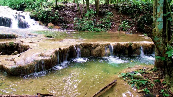 El Altar Şelalesi, Lara Venezuela eyaletinde yer almaktadır.