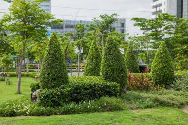 Tayland inci Park eder