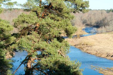 Dağdan çam ağacına ve tarlalı mavi nehre bak..