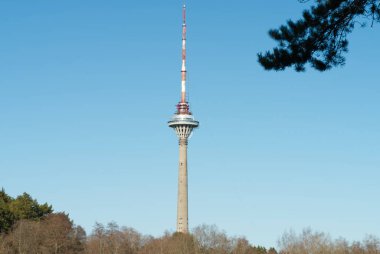 TV kulesi manzarası Estonya 'da ormanı sallıyor, Tallinn.