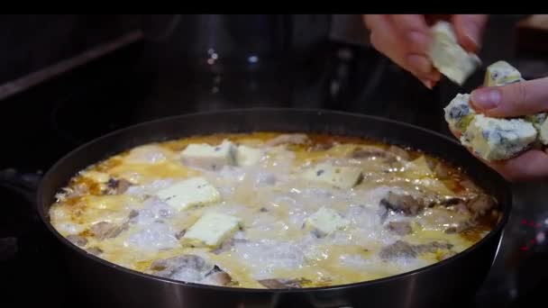 Chefs χέρι προσθέτει μπλε τυρί με μούχλα σε βραστό τηγάνι με νόστιμο φαγητό — Αρχείο Βίντεο