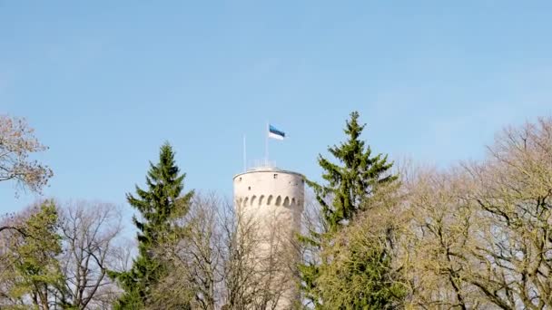 Bandera de Estonia 2021 en la parte superior del castillo de Toompea. bandera en el viento — Vídeos de Stock