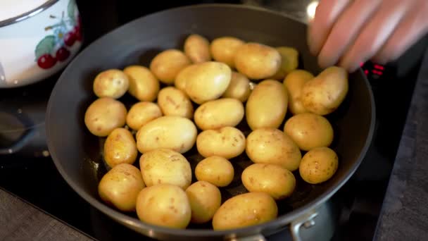 Verse jonge aardappelen in een pan klaar om te koken. — Stockvideo