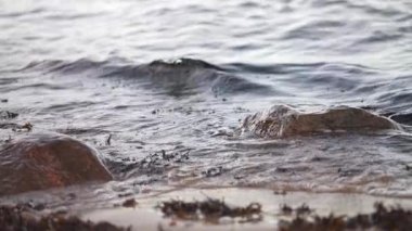 Güneşli bir günde kumsalda küçük dalgalı deniz ve taşlar, yavaş çekim.