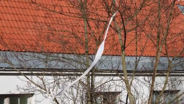 Plastique coincé dans un arbre dans la ville. Déchets à Tallinn, Estonie 2021 — Video