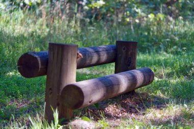 Yaz günü ormanda bankta.