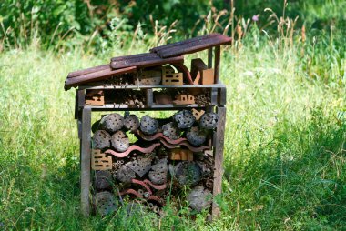 Büyük sivrisinek oteli ya da insan yapımı ormandaki karınca yuvası..