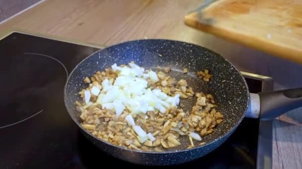 Paddenstoelen met uien in olijfolie bakken in een pan. Koken Schotel. Koken thuis — Stockvideo