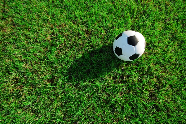 Fútbol en la hierba Fotos de stock libres de derechos