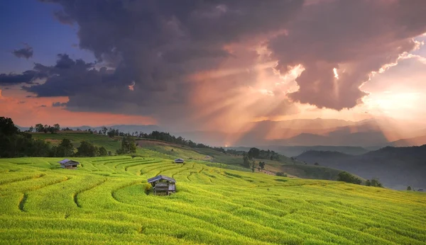 Montaña paisaje puesta de sol en el campo de arroz Imagen de stock