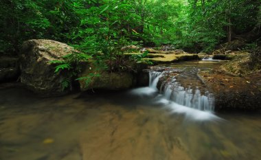 Şelale doğa arka plan