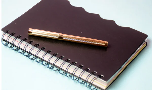 Caderno e caneta. Diário aberto e caneta para gravar — Fotografia de Stock