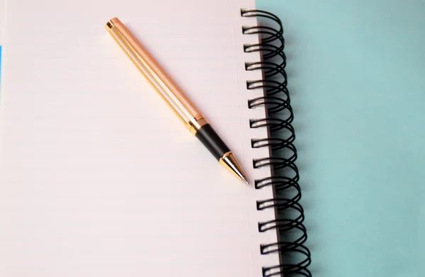 Notizbuch und Stift. Tagebuch und Stift zum Aufzeichnen öffnen — Stockfoto