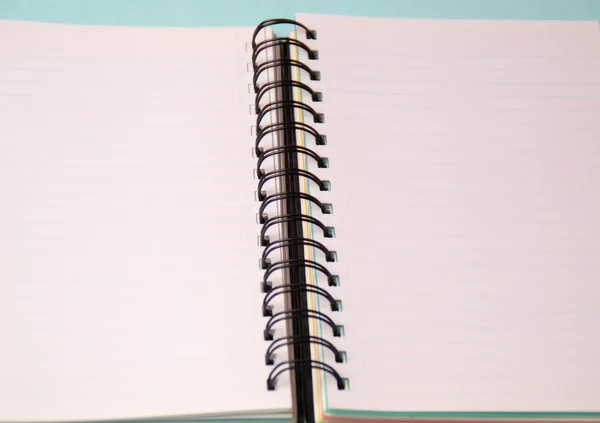 Notebook and pen. Open diary and pen to record — Stock Photo, Image