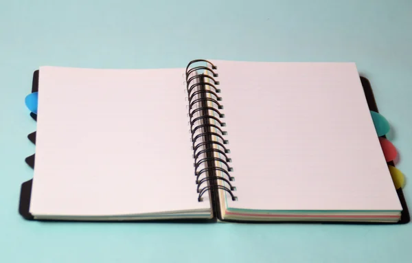 Notizbuch und Stift. Tagebuch und Stift zum Aufzeichnen öffnen — Stockfoto