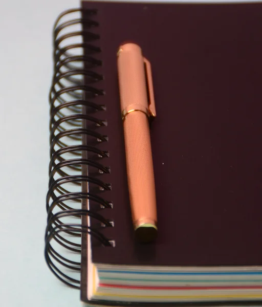 Carnet et stylo. Journal ouvert et stylo pour enregistrer — Photo