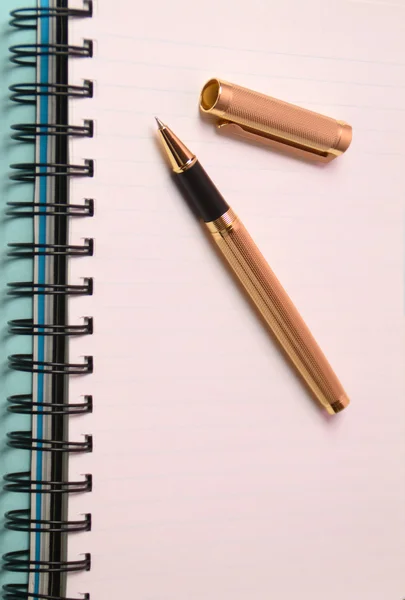 Notebook and pen. Open diary and pen to record