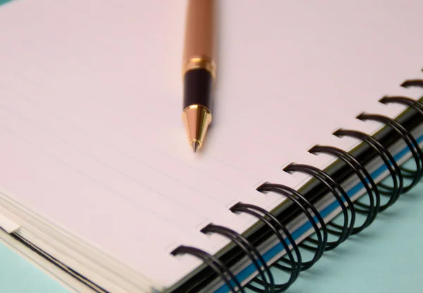 Caderno e caneta. Diário aberto e caneta para gravar Fotografia De Stock