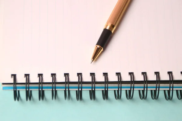 ノートとペン。オープン日記と記録するペン — ストック写真
