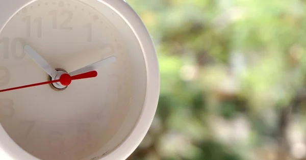 Horloge Blanche Avec Verdure Sur Fond Plan Rapproché — Photo