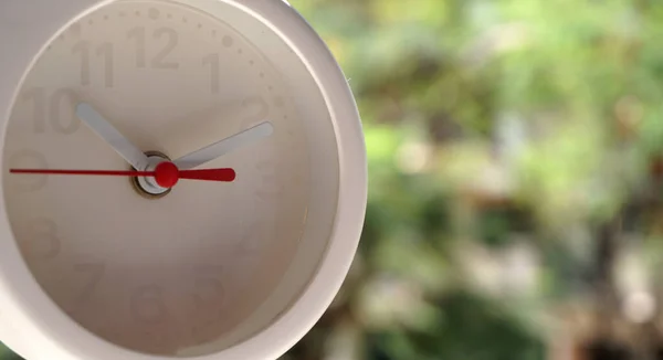 Reloj Blanco Con Vegetación Fondo Tiro Cerca —  Fotos de Stock