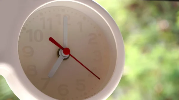 Horloge Blanche Avec Verdure Sur Fond Plan Rapproché — Photo