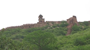 Jaipur, Rajasthan, Hindistan - 11 Ağustos 2019: Amer Kalesi 'nin güzel Panorama manzarası. Rajput askeri tepe mimarisi. Amer Kalesi Meşhur turizm merkezi ve UNESCO Dünya Mirası Alanı.