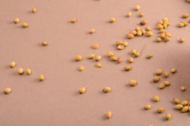 Tohum yığını beyaz masada 