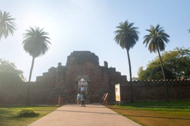 DELHI, Hindistan - 14 Şubat 2018: Turistler UNESCO 'nun Dünya Mirası Bölgesi olan Babür İmparatoru Humayun' un mezarı olan Humayun 'un Mezar Kompleksi' ndeki Isa Han Mezarını ziyaret ettiler.