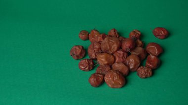 Indian jujube or ber fruit grown in the wild or jungle. Closeup of India fruit on colorful  background.