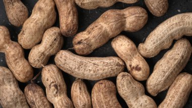 Siyah arka planda kabuklu organik fıstıklar. Sağlıklı ve besleyici gıdalar için birebir..