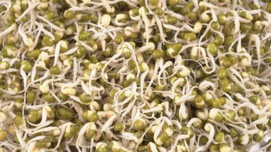 Yeşil gram veya moong tohumu tohumu yığınını kapat.